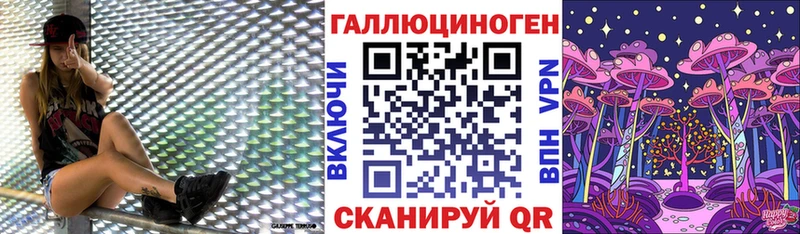 Псилоцибиновые грибы Psilocybe Вольск